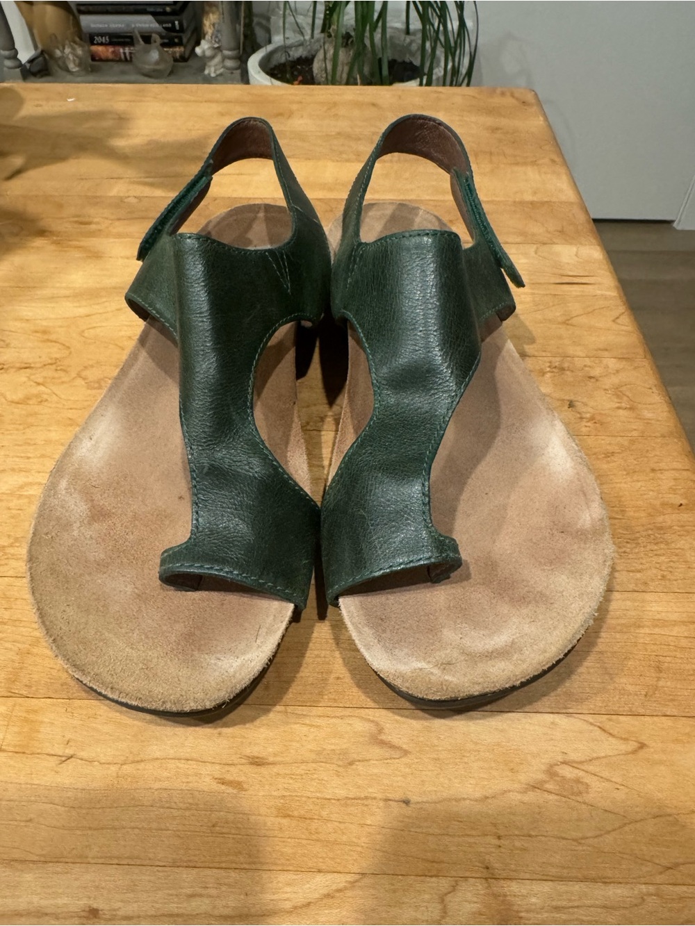 Dansko Dark Green Leather Slingback Sandals